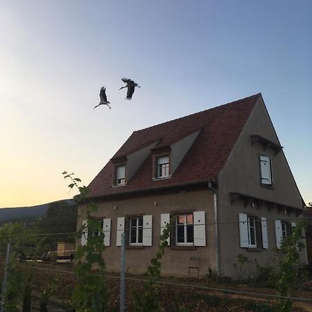 La Cle Du Vignoble Villa Mittelbergheim Dış mekan fotoğraf