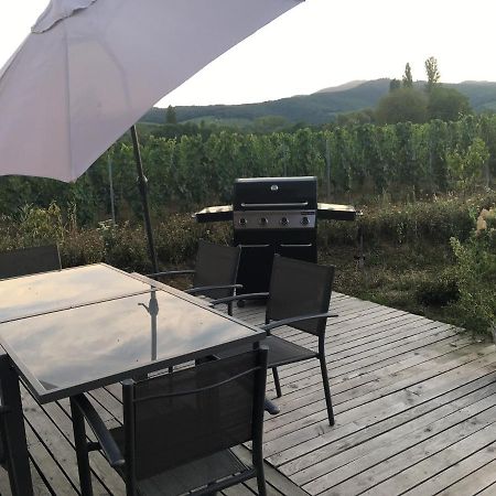 La Cle Du Vignoble Villa Mittelbergheim Dış mekan fotoğraf