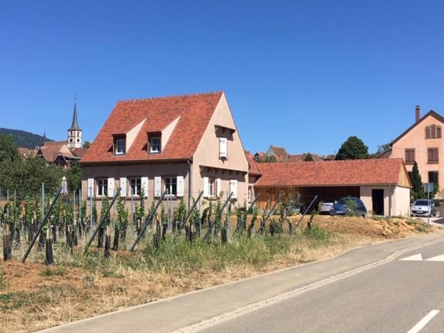 La Cle Du Vignoble Villa Mittelbergheim Dış mekan fotoğraf