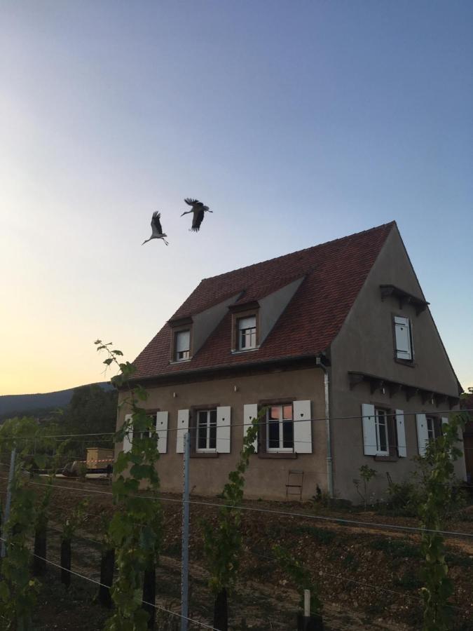 La Cle Du Vignoble Villa Mittelbergheim Dış mekan fotoğraf