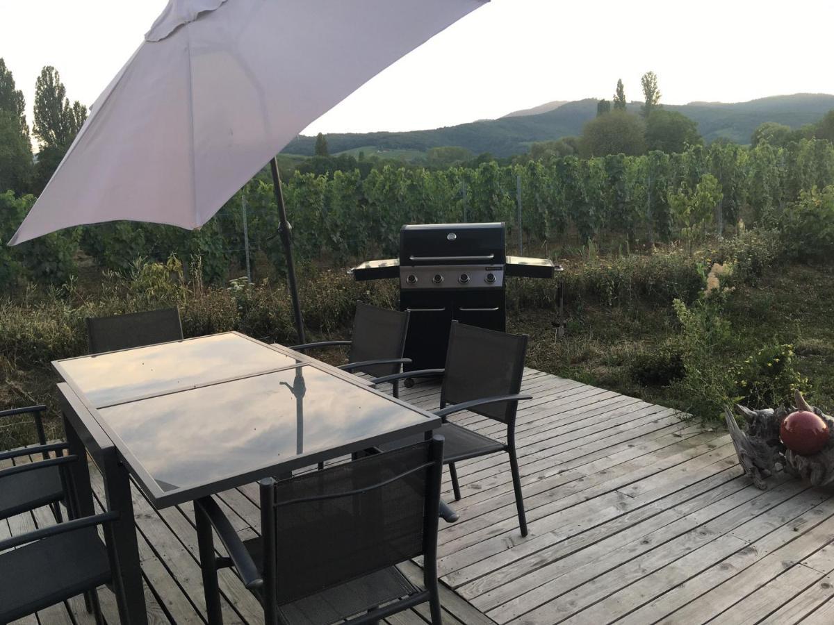 La Cle Du Vignoble Villa Mittelbergheim Dış mekan fotoğraf